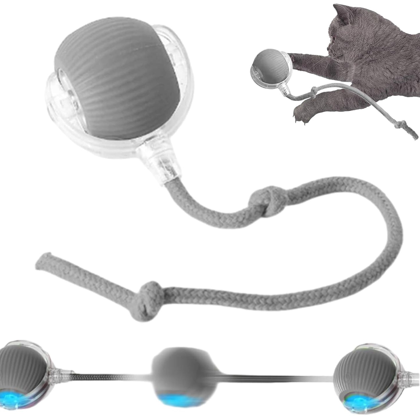 Pawlure New Interactive Self Rolling Dog or Cat Ball 360° Smart Pet Toy