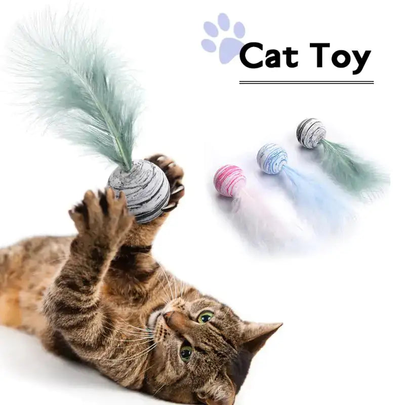 Cat Toy: Feather Ball