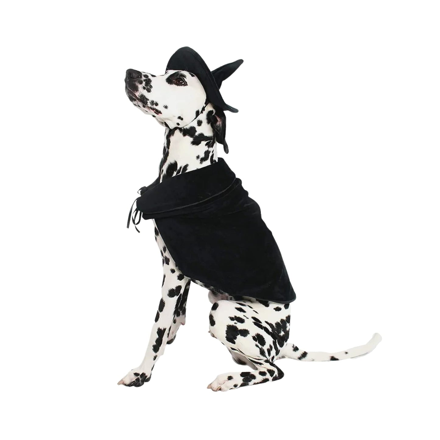 Halloween Witch Cape and Hat Dog Costume (XXX-Large) by Midlee