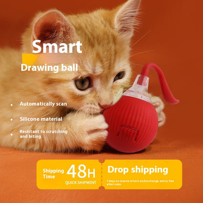 Magic Cat Ball Toy: Interactive