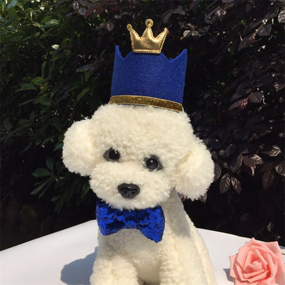 Royal Pet Party Birthday Hat for Dogs and Cats