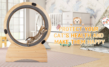 Cat Exercise Wheel -Running