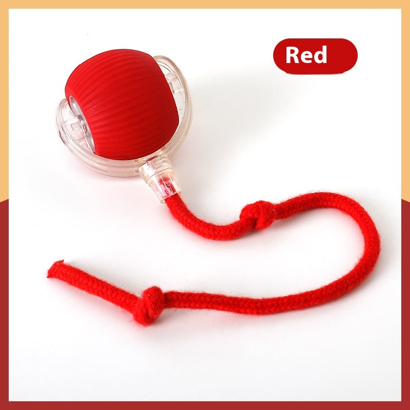 Magic Cat Ball Toy: Interactive