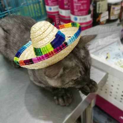 Pet Sombrero: Sun Hat for Dogs and Cats