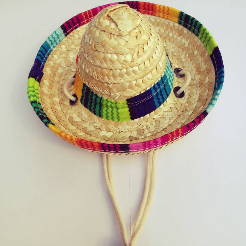 Pet Sombrero: Sun Hat for Dogs and Cats
