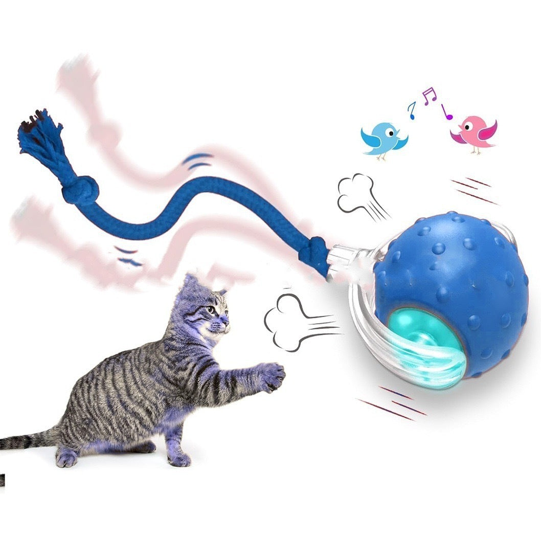 Magic Cat Ball Toy: Interactive