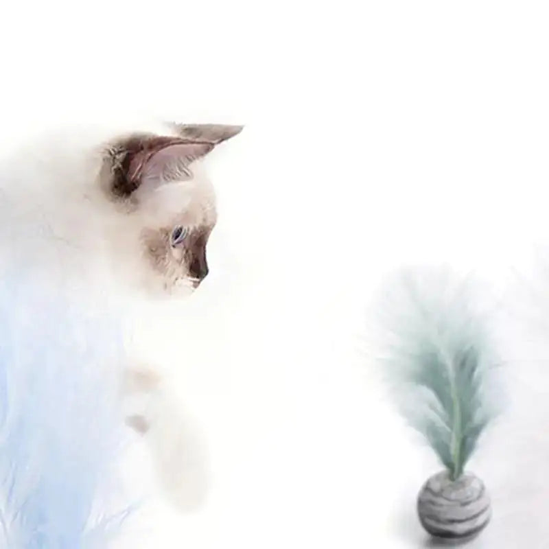 Cat Toy: Feather Ball
