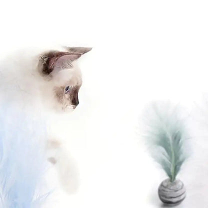Cat Toy: Feather Ball